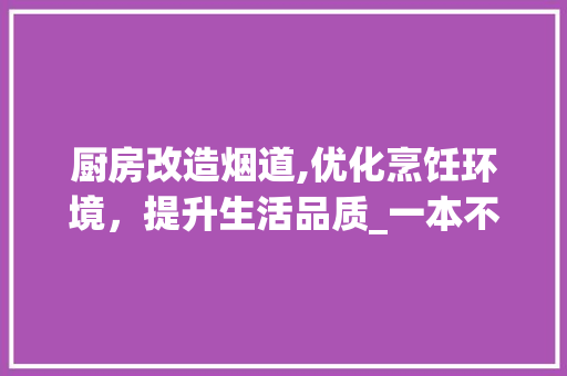 厨房改造烟道,优化烹饪环境，提升生活品质_一本不可错过的指南 隔断设计