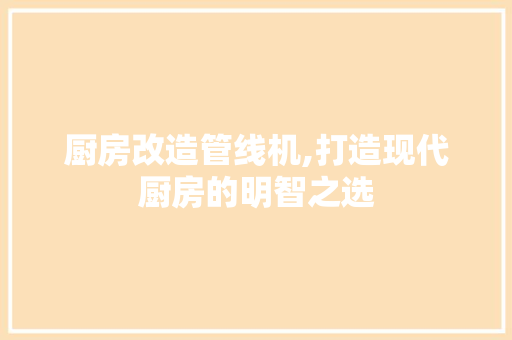 厨房改造管线机,打造现代厨房的明智之选