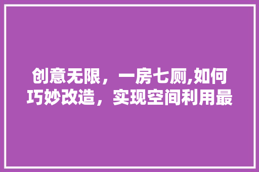 创意无限，一房七厕,如何巧妙改造，实现空间利用最大化