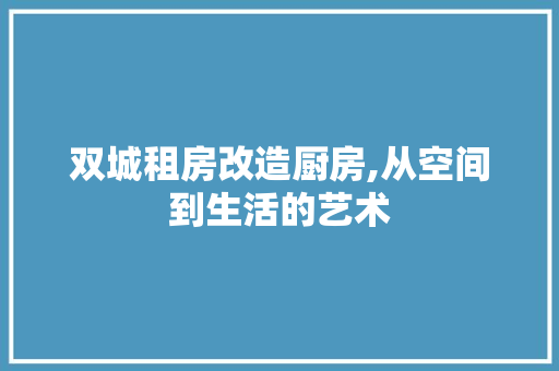 双城租房改造厨房,从空间到生活的艺术 庭院装修