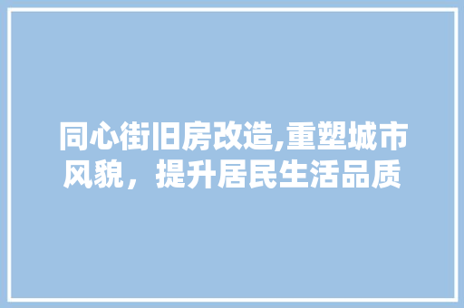 同心街旧房改造,重塑城市风貌，提升居民生活品质 墙面装饰