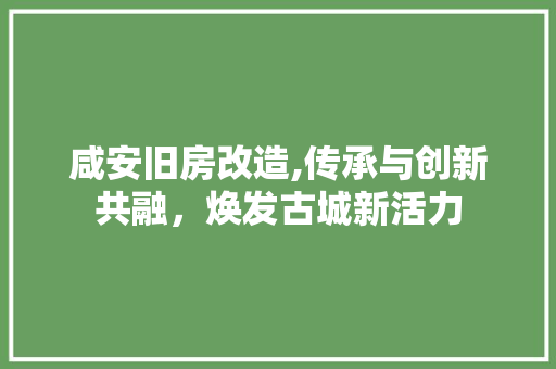 咸安旧房改造,传承与创新共融，焕发古城新活力 庭院装修