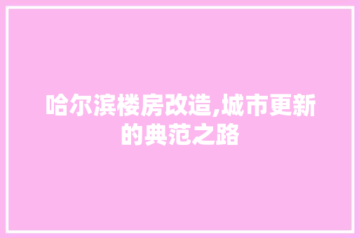 哈尔滨楼房改造,城市更新的典范之路 建筑设计