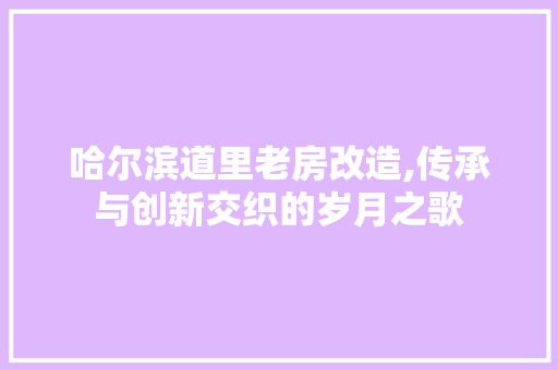 哈尔滨道里老房改造,传承与创新交织的岁月之歌