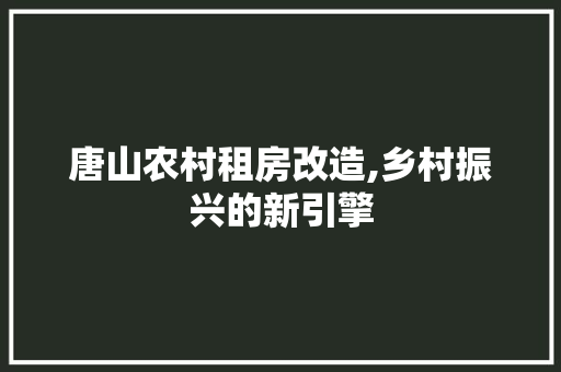 唐山农村租房改造,乡村振兴的新引擎 庭院装修