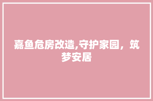 嘉鱼危房改造,守护家园，筑梦安居