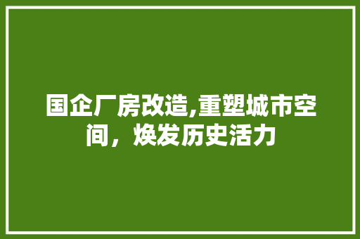 国企厂房改造,重塑城市空间,焕发历史活力