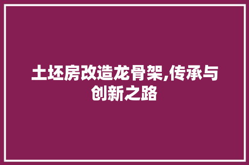 土坯房改造龙骨架,传承与创新之路