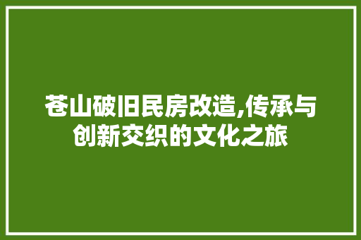 苍山破旧民房改造,传承与创新交织的文化之旅 地面装修