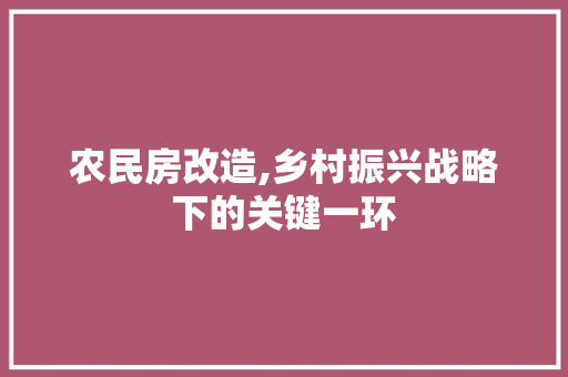 农民房改造,乡村振兴战略下的关键一环