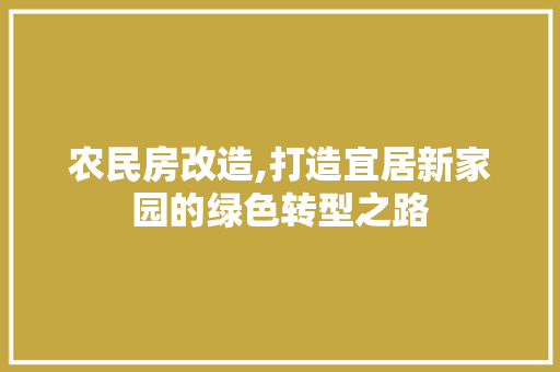 农民房改造,打造宜居新家园的绿色转型之路 墙面装饰