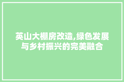 英山大棚房改造,绿色发展与乡村振兴的完美融合 地面装修