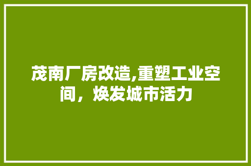 茂南厂房改造,重塑工业空间，焕发城市活力