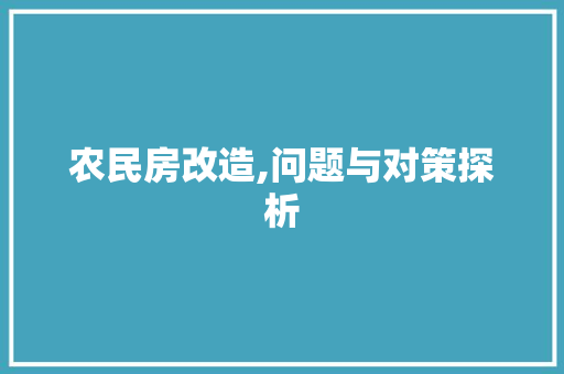 农民房改造,问题与对策探析