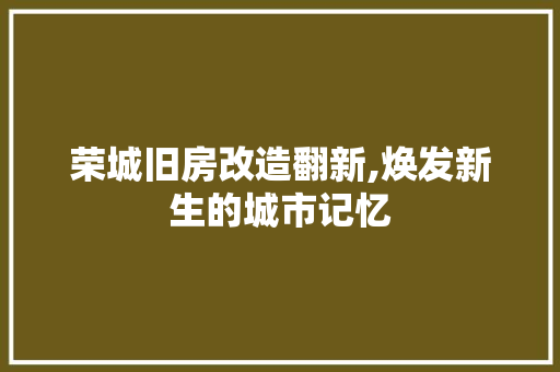 荣城旧房改造翻新,焕发新生的城市记忆 庭院装修