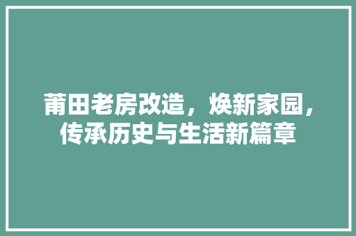 莆田老房改造，焕新家园，传承历史与生活新篇章 门窗装修