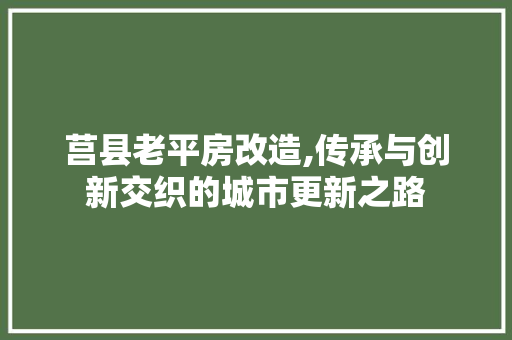 莒县老平房改造,传承与创新交织的城市更新之路