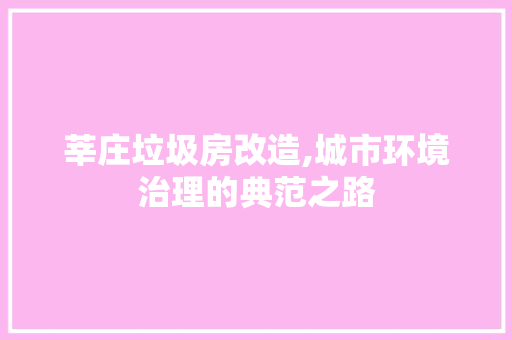 莘庄垃圾房改造,城市环境治理的典范之路