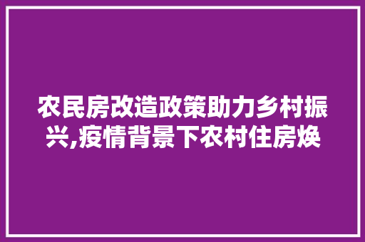 农民房改造政策助力乡村振兴,疫情背景下农村住房焕新颜 装修材料