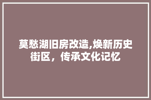 莫愁湖旧房改造,焕新历史街区，传承文化记忆