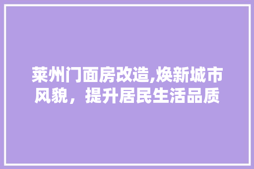 莱州门面房改造,焕新城市风貌，提升居民生活品质 景观设计