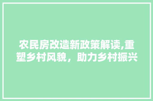农民房改造新政策解读,重塑乡村风貌，助力乡村振兴