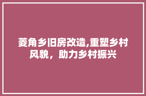 菱角乡旧房改造,重塑乡村风貌,助力乡村振兴 景观设计 菱角乡旧房改造,重塑乡村风貌,助力乡村振兴 景观设计