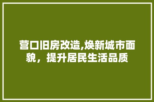 营口旧房改造,焕新城市面貌，提升居民生活品质 装修材料