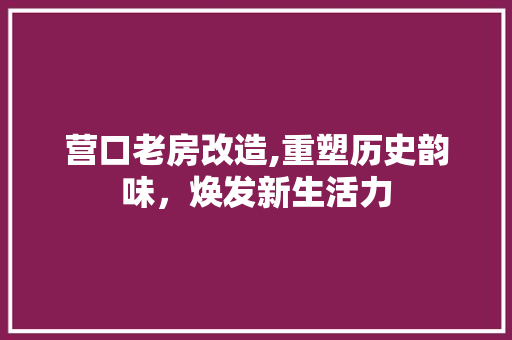 营口老房改造,重塑历史韵味，焕发新生活力 装修攻略
