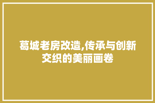 葛城老房改造,传承与创新交织的美丽画卷