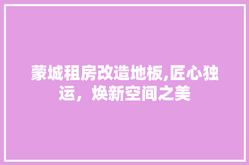 蒙城租房改造地板,匠心独运，焕新空间之美 装修材料