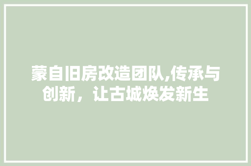 蒙自旧房改造团队,传承与创新，让古城焕发新生