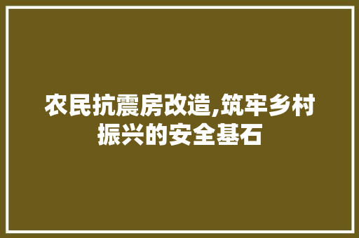 农民抗震房改造,筑牢乡村振兴的安全基石 隔断设计