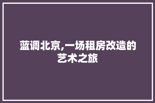 蓝调北京,一场租房改造的艺术之旅