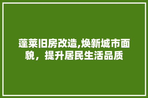蓬莱旧房改造,焕新城市面貌，提升居民生活品质 庭院装修