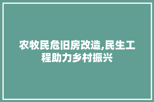 农牧民危旧房改造,民生工程助力乡村振兴