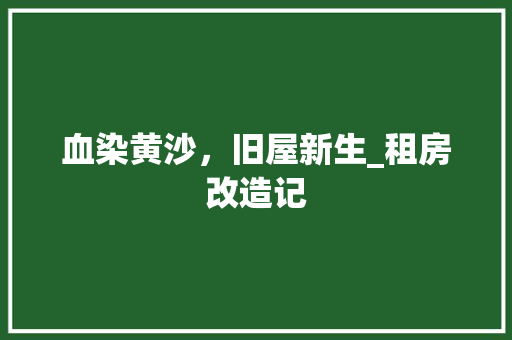 血染黄沙，旧屋新生_租房改造记