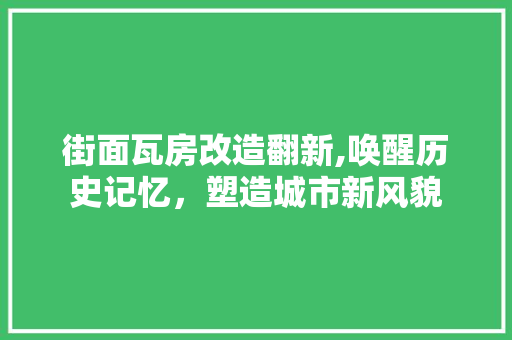 街面瓦房改造翻新,唤醒历史记忆，塑造城市新风貌