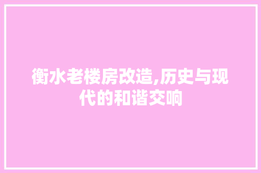 衡水老楼房改造,历史与现代的和谐交响
