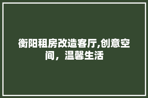 衡阳租房改造客厅,创意空间，温馨生活 装修攻略