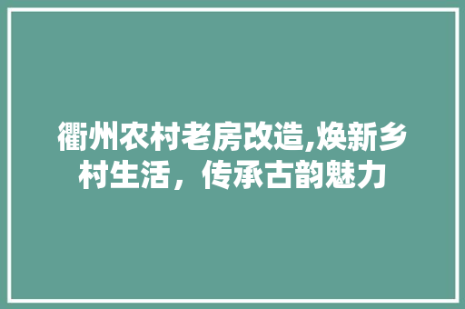 衢州农村老房改造,焕新乡村生活，传承古韵魅力 庭院装修
