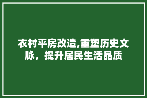 衣村平房改造,重塑历史文脉，提升居民生活品质