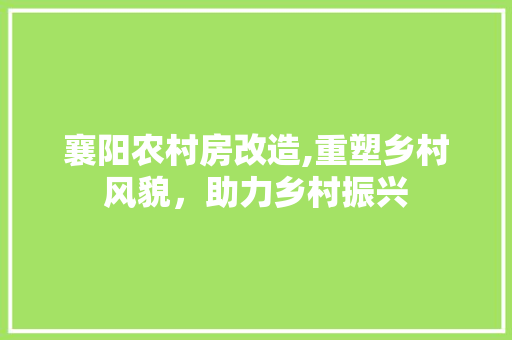 襄阳农村房改造,重塑乡村风貌，助力乡村振兴 建筑设计