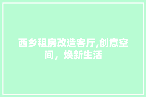 西乡租房改造客厅,创意空间，焕新生活