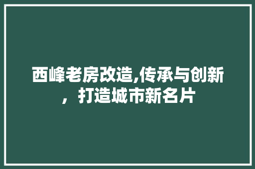 西峰老房改造,传承与创新，打造城市新名片 装修攻略