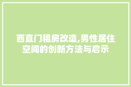 西直门租房改造,男性居住空间的创新方法与启示