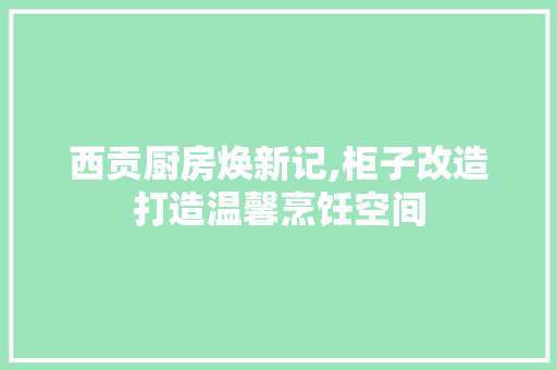 西贡厨房焕新记,柜子改造打造温馨烹饪空间 庭院装修