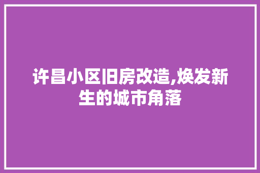 许昌小区旧房改造,焕发新生的城市角落 门窗装修