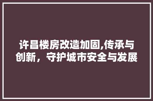 许昌楼房改造加固,传承与创新，守护城市安全与发展 景观设计