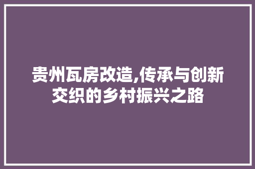贵州瓦房改造,传承与创新交织的乡村振兴之路